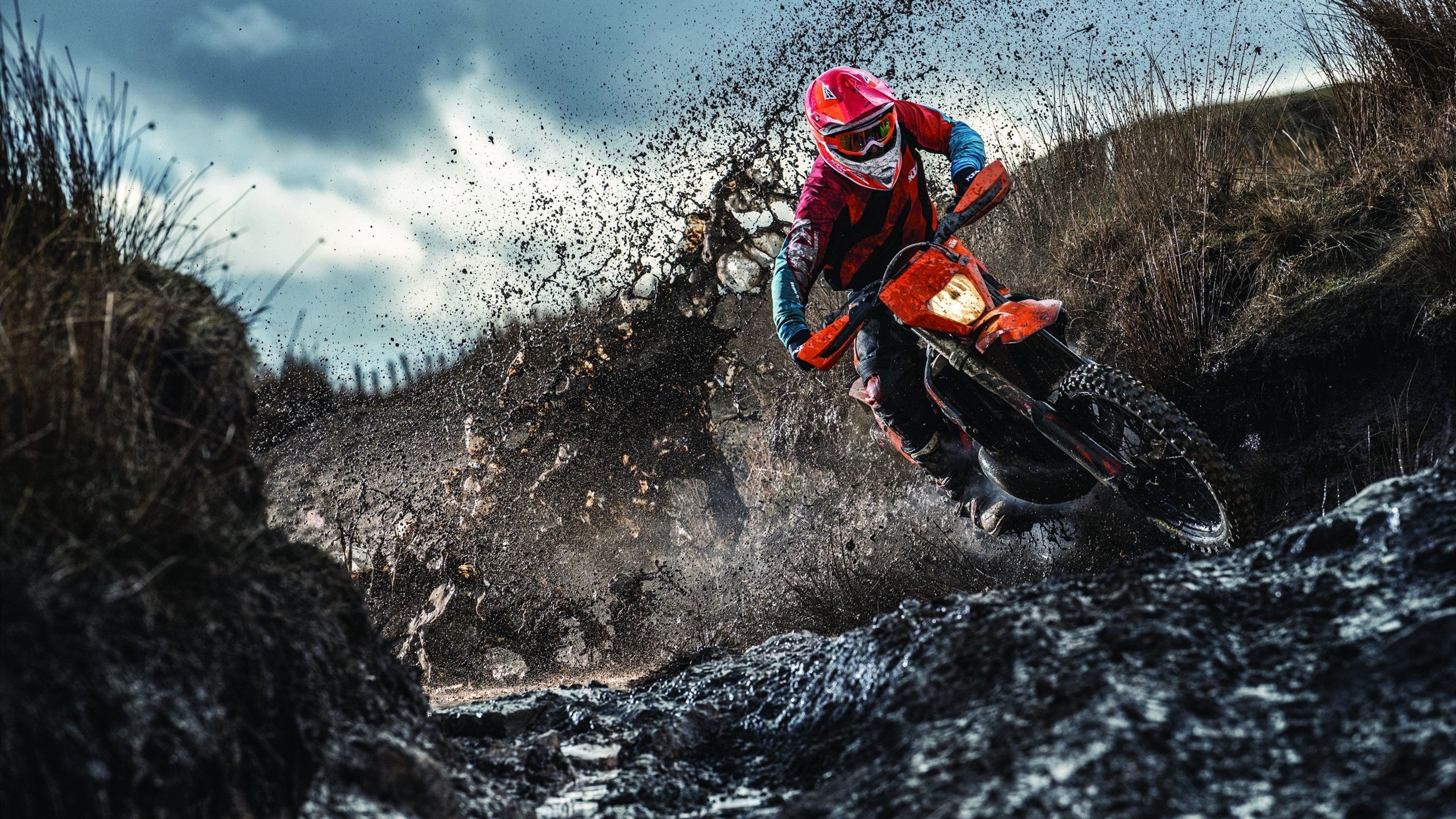 凯莉·麦基翁为未来赛事蓄力，凯莉·麦吉利斯现照