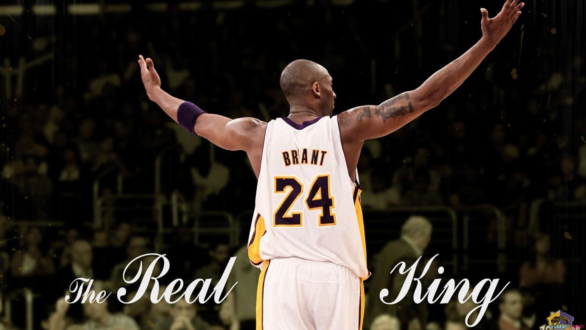 美洲杯激战再起：明星频频发光！，z美洲杯