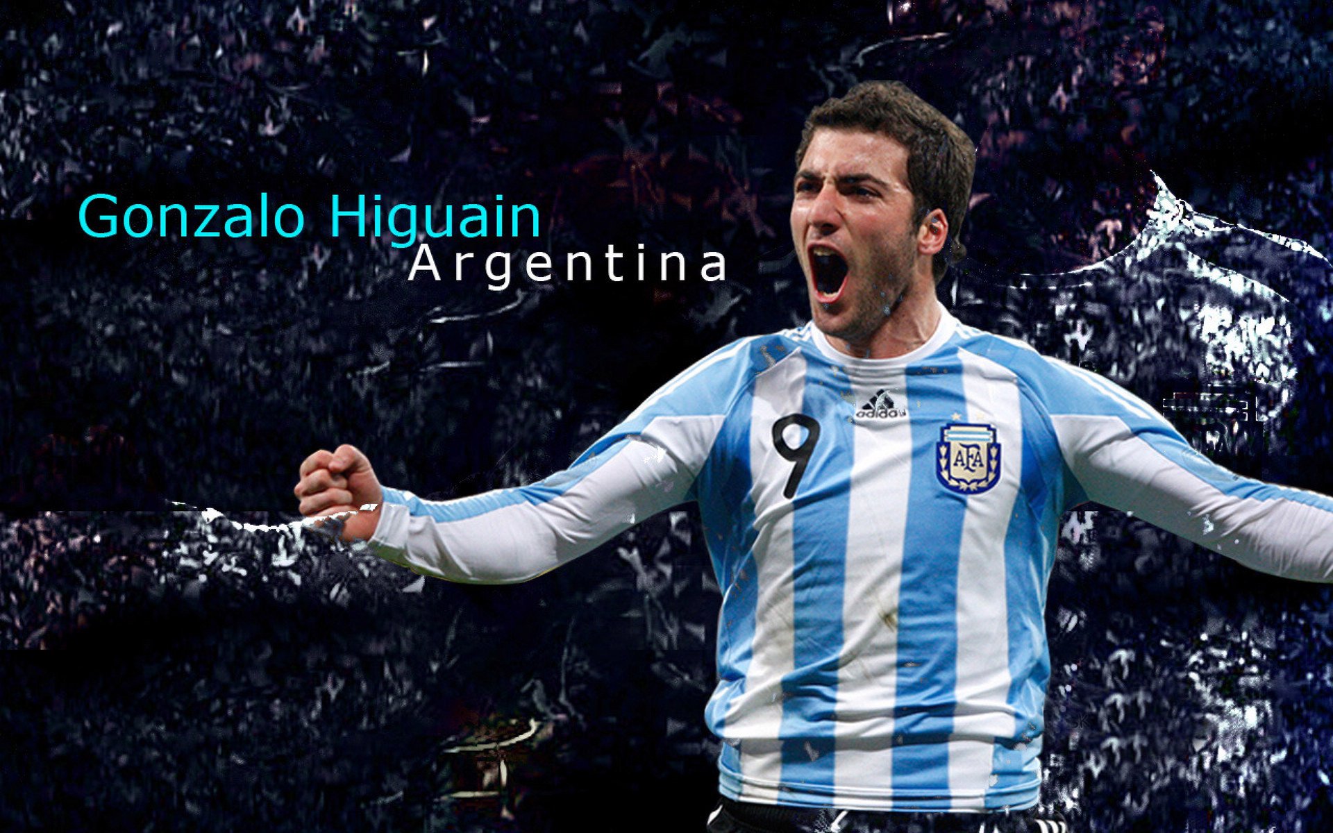 米兰体育官网-英格兰橄榄球队吸引国际资金注入，英格兰橄榄球队队徽